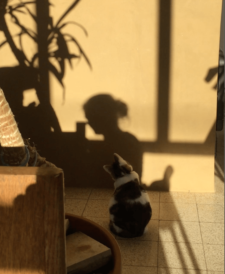 Riet Nackaerts Skandira